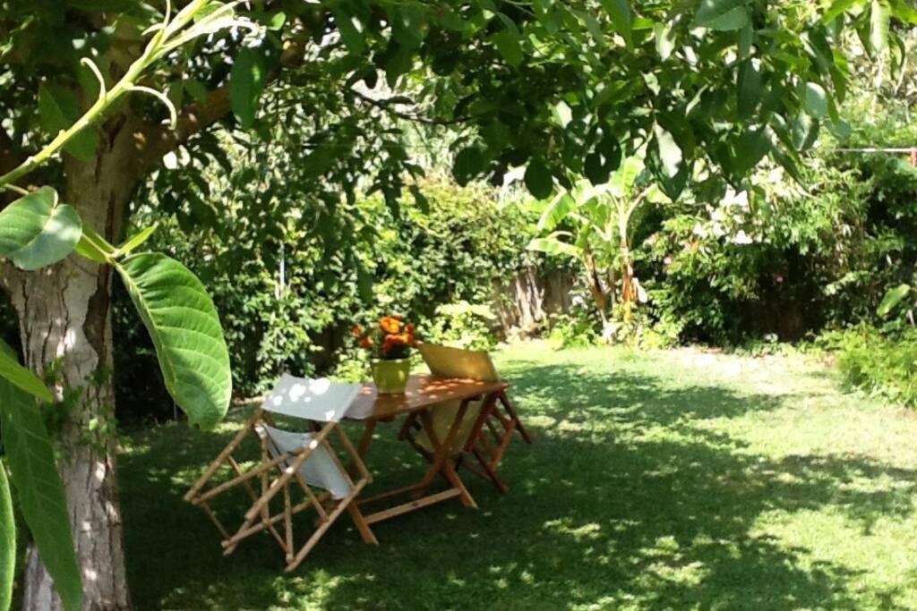 Romírion The Cottage House מראה חיצוני תמונה