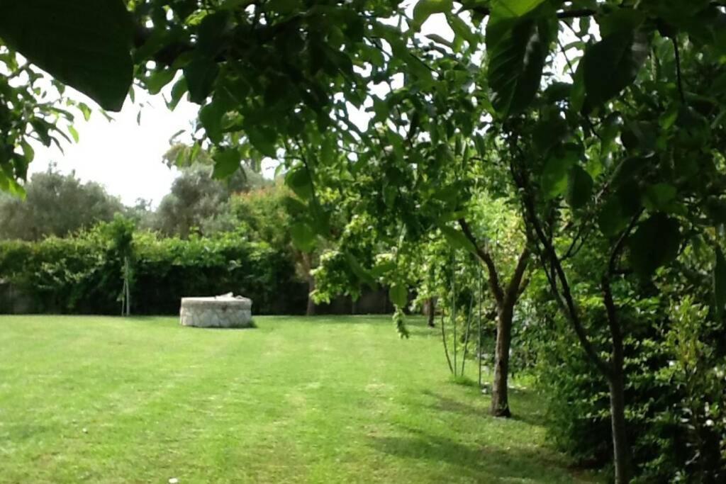 Romírion The Cottage House מראה חיצוני תמונה