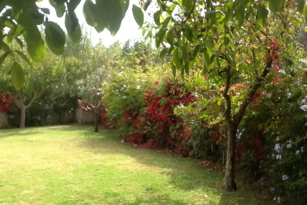 Romírion The Cottage House מראה חיצוני תמונה